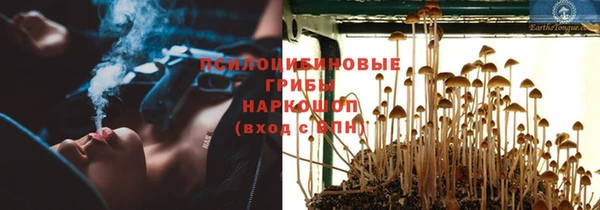 индика Ладушкин