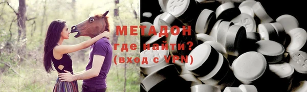 индика Ладушкин