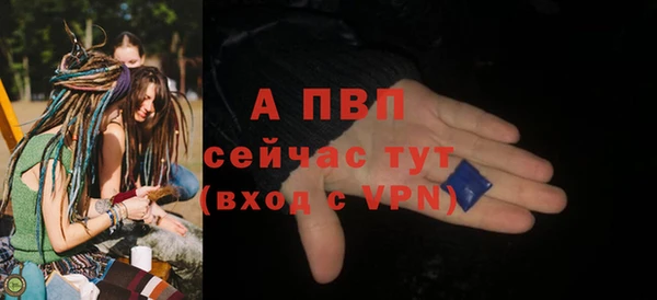 индика Ладушкин