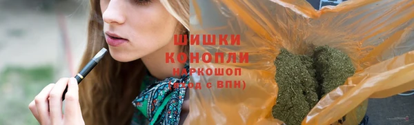 индика Ладушкин