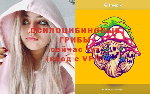 индика Ладушкин