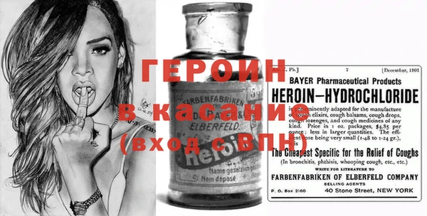 индика Ладушкин
