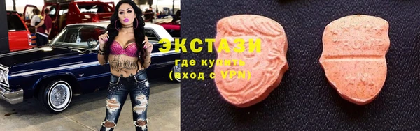 индика Ладушкин