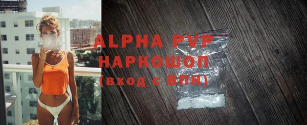 индика Ладушкин