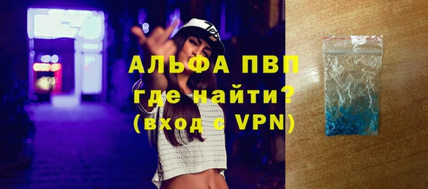 индика Ладушкин
