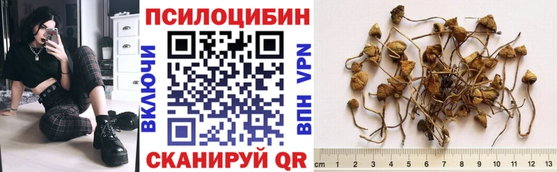 Псилоцибиновые грибы прущие грибы Купить Анадырь